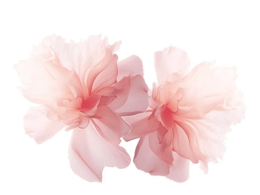 Explore bottles image